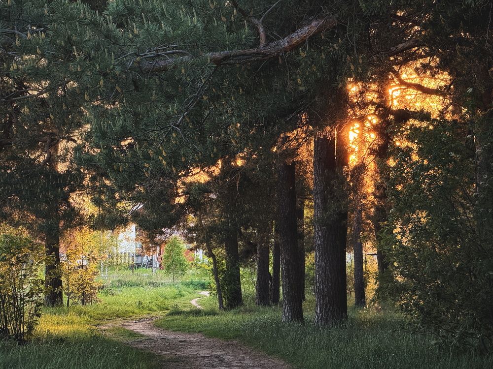 Photograph by Анастасия Арбузова