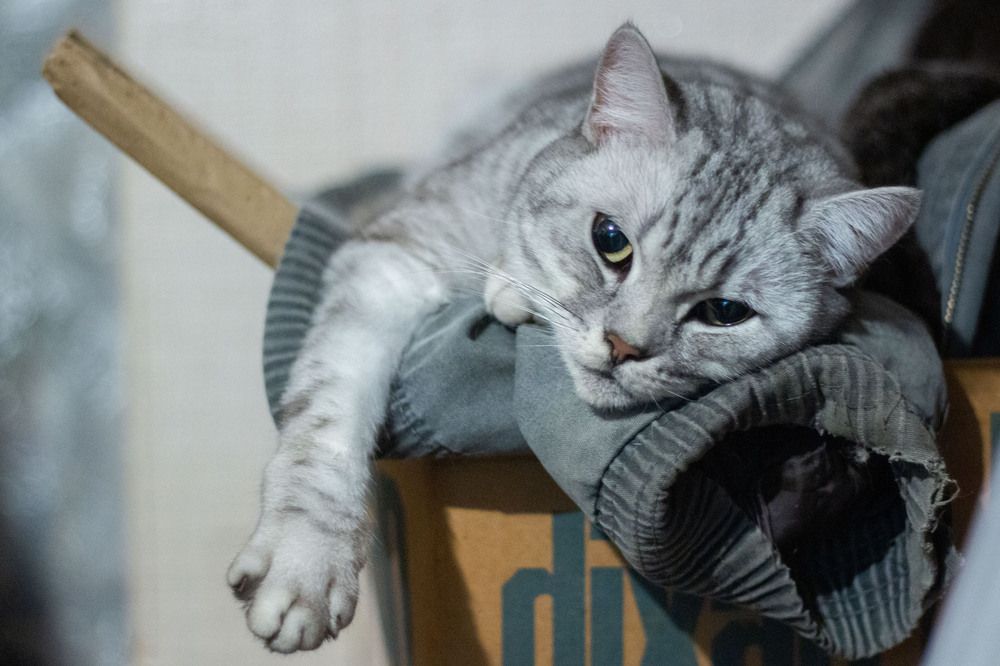 Photograph by Алексей Борисов