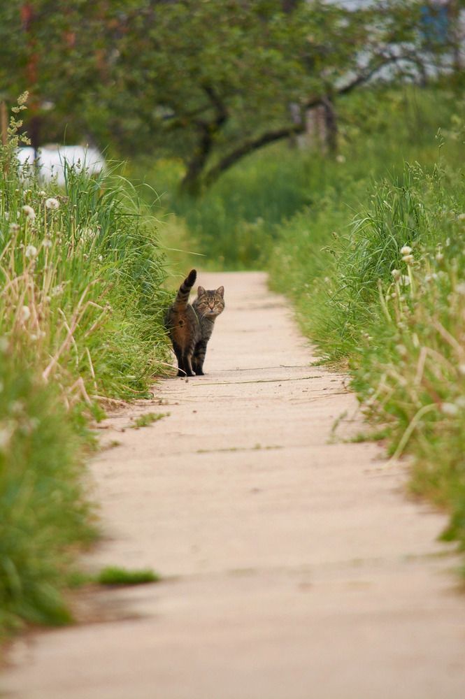 Photograph by Максим Владимирович