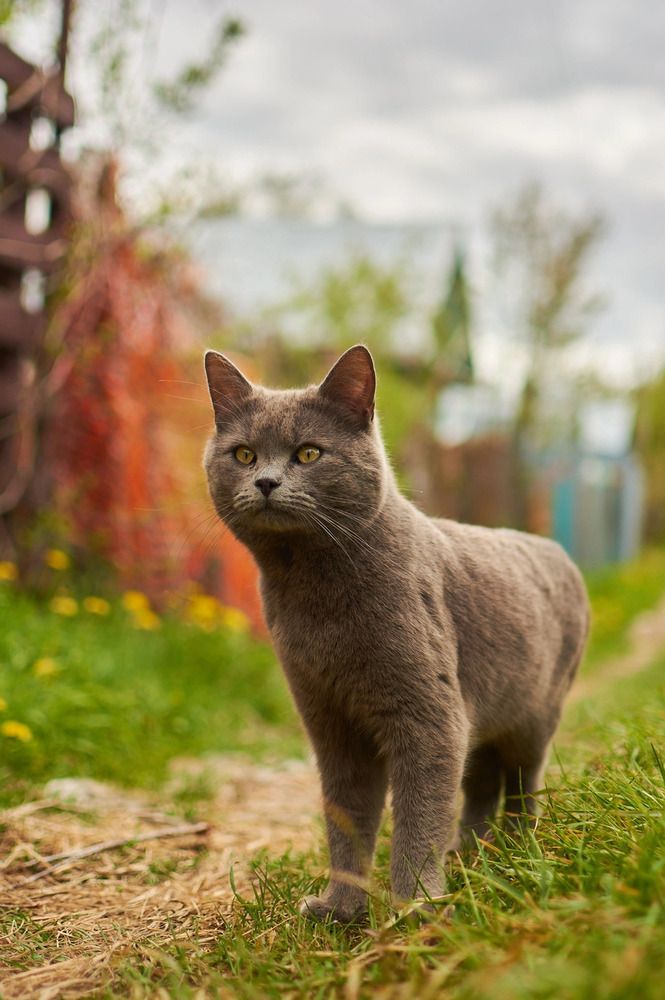 Photograph by Максим Владимирович