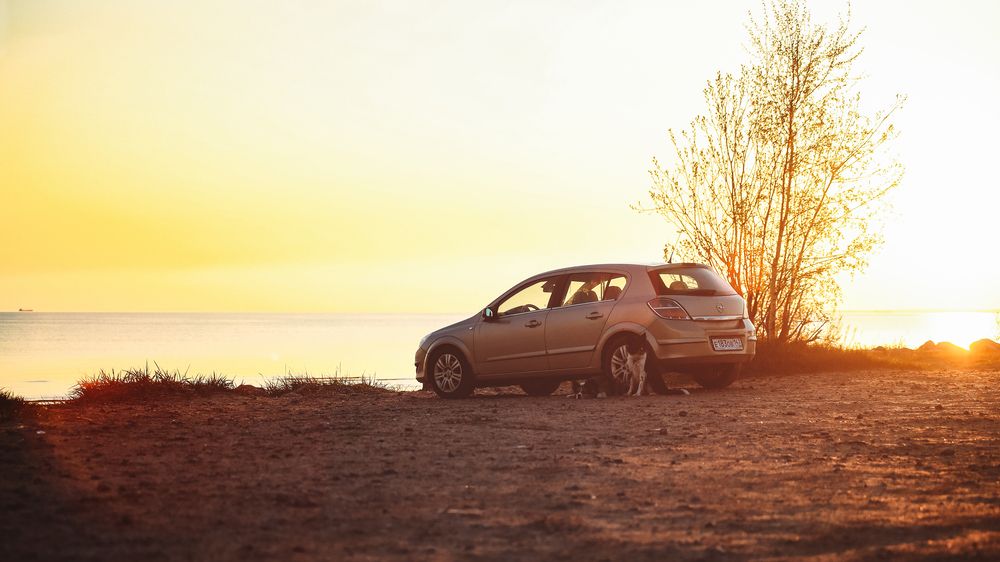 Photograph by Настасья Андреевна