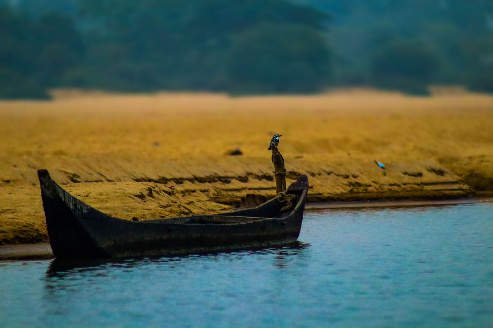 Photograph by Anurag Kashyap