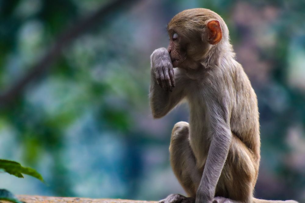 Photograph by Anurag Kashyap