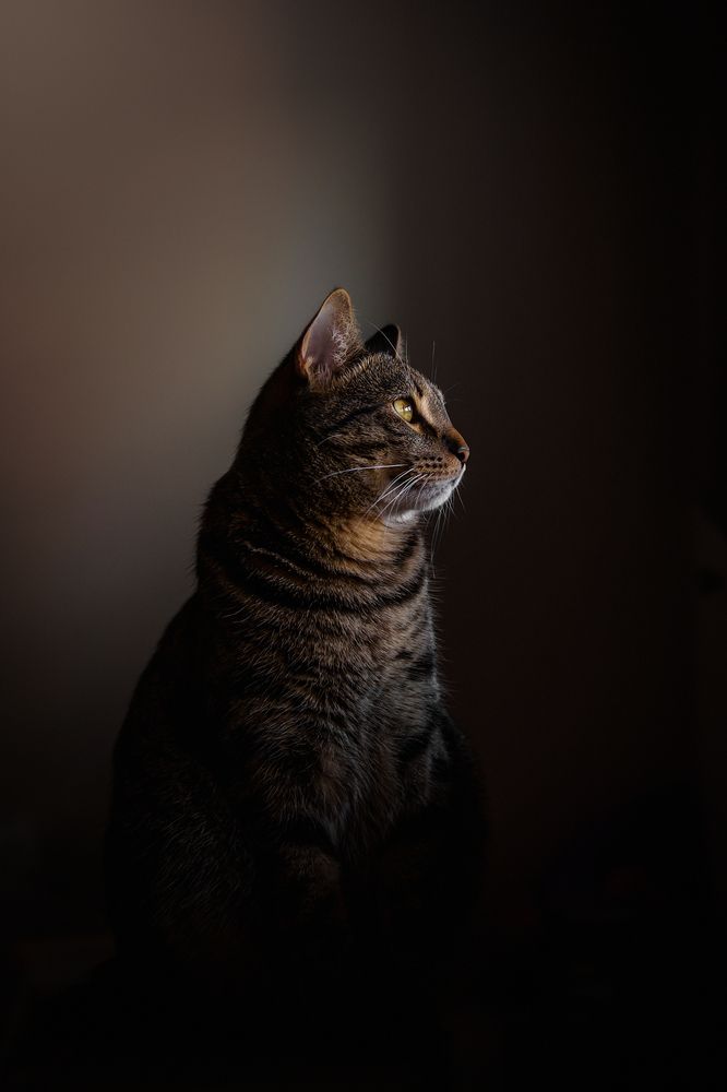 Photograph by Надежда Чумакова