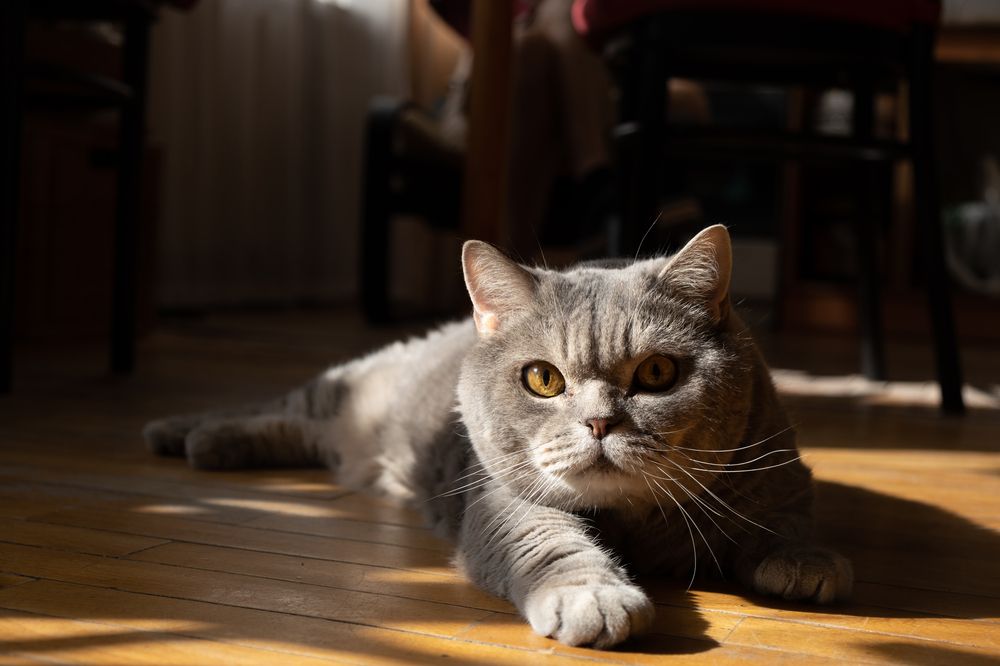 Photograph by Ivan Kakhanchik