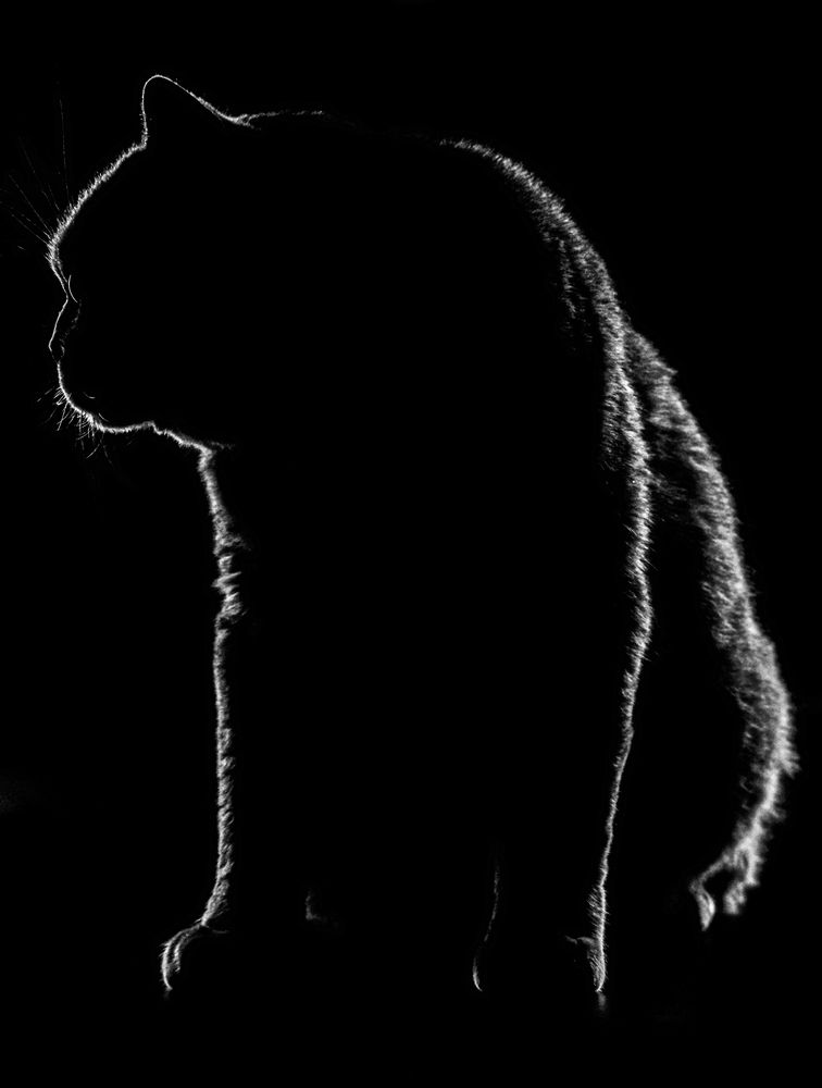 Photograph by Ivan Kakhanchik