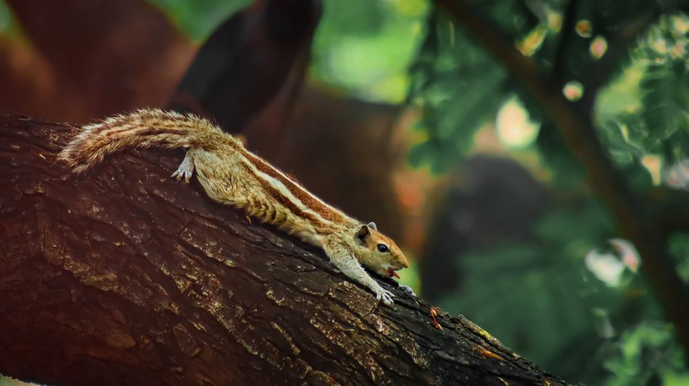 Photograph by Anurag Kashyap