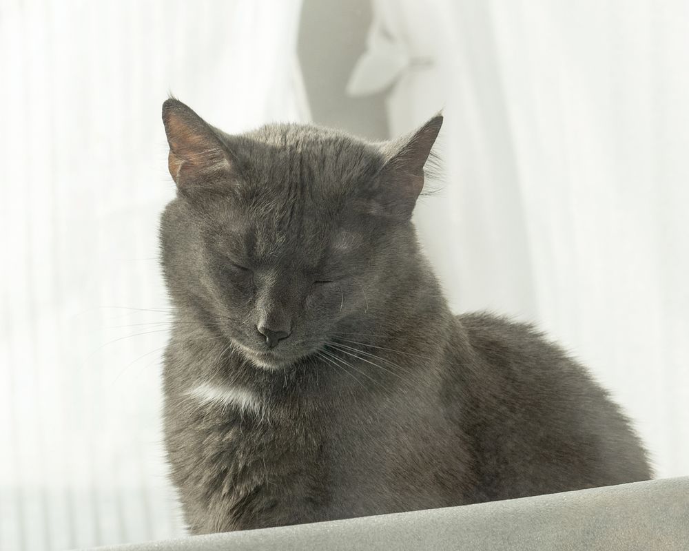 Photograph by Андрей Семенков