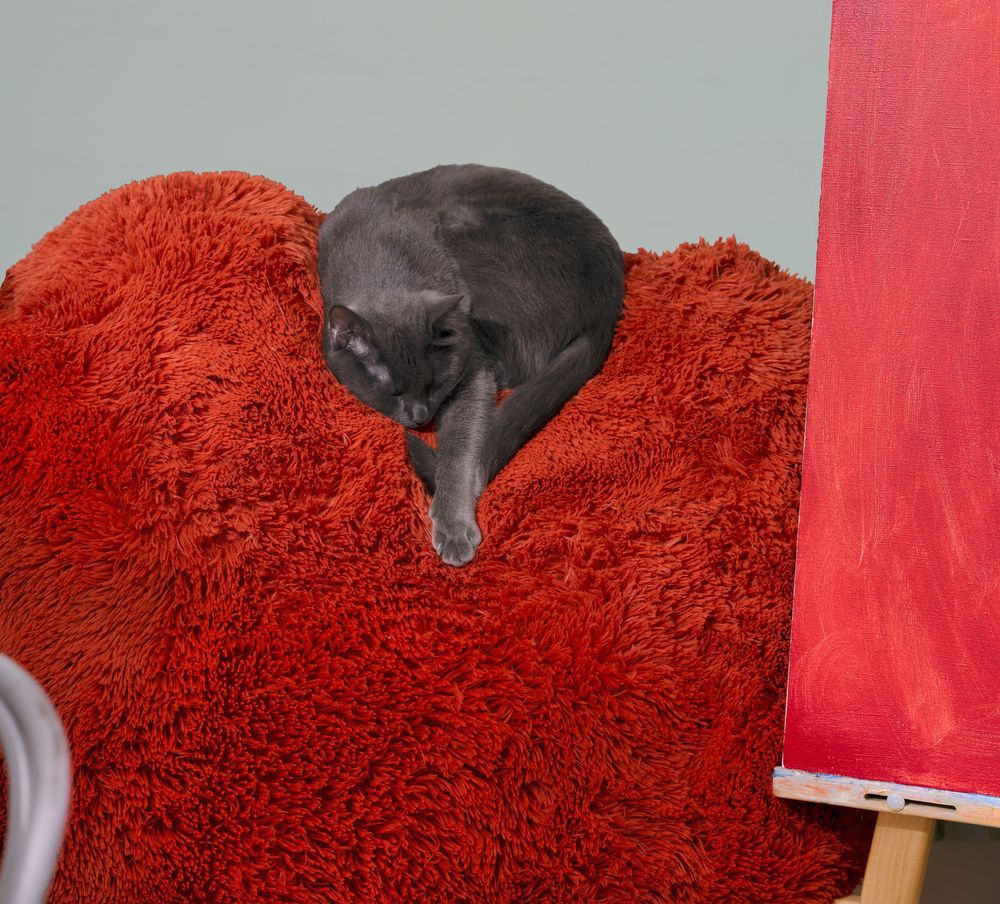 Photograph by Андрей Семенков