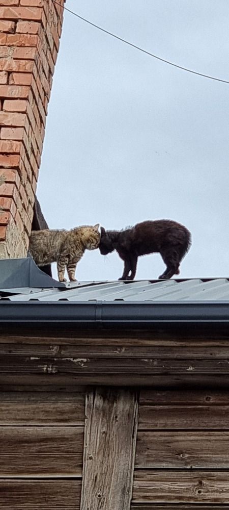 Photograph by Elena Ovsannikova