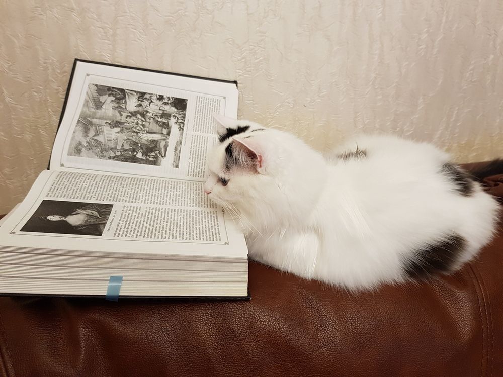 Photograph by Elena Ovsannikova