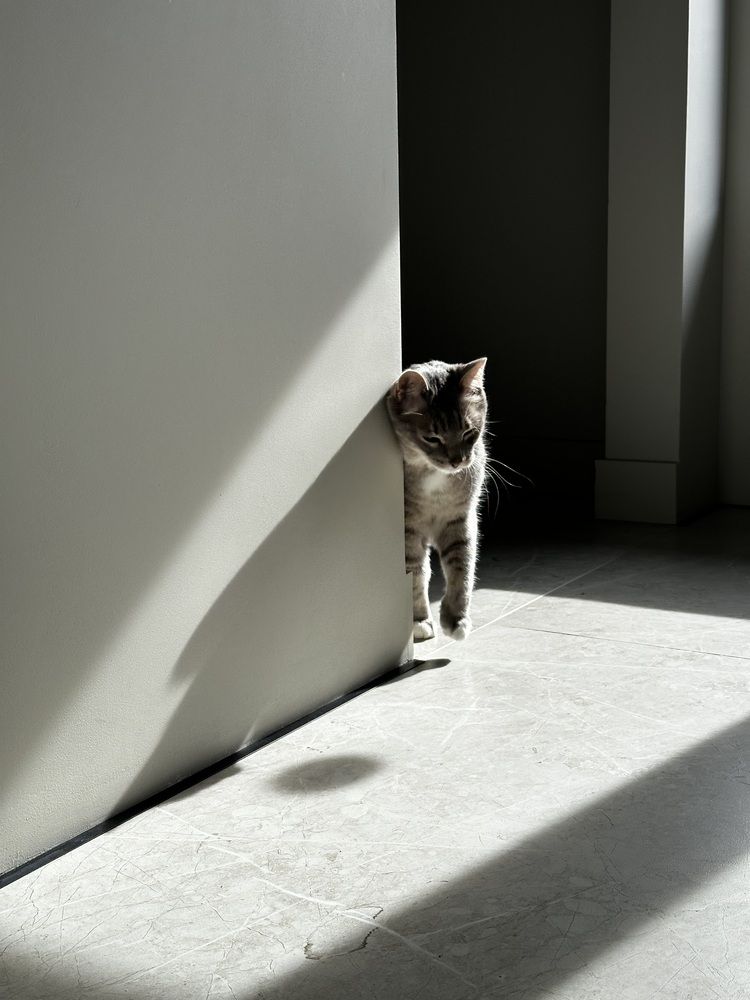 Photograph by Мария Петрова