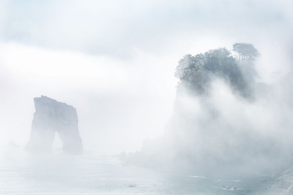 Фотография автора Анна Олещук