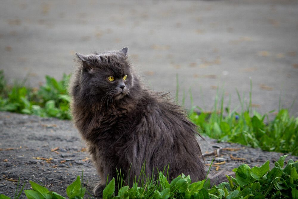 Photograph by Сергей Михайлов