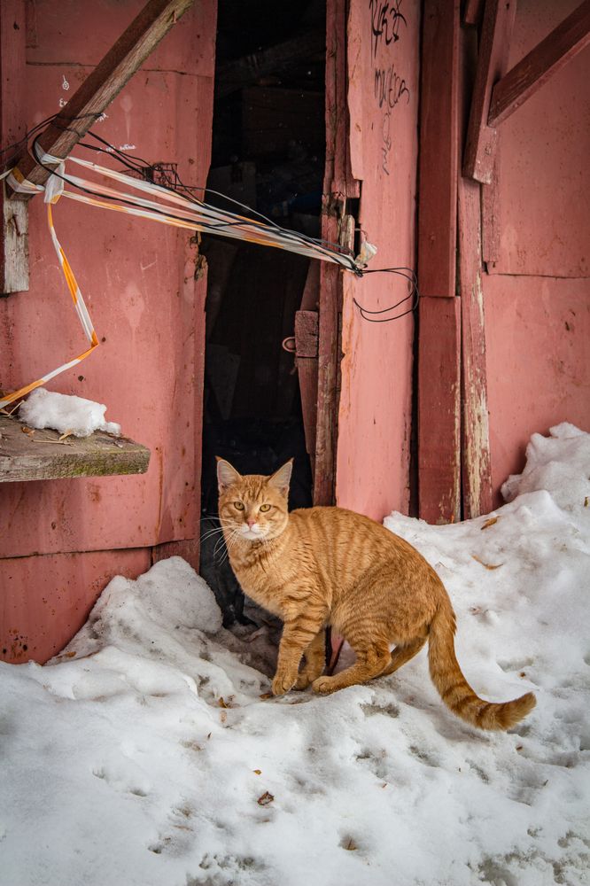 Photograph by Tatiana Shtun