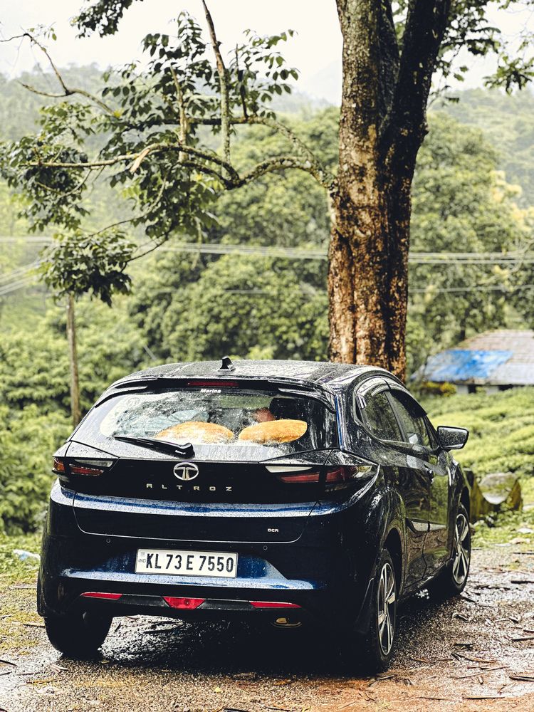 Photograph by Muhammed Junaid A P