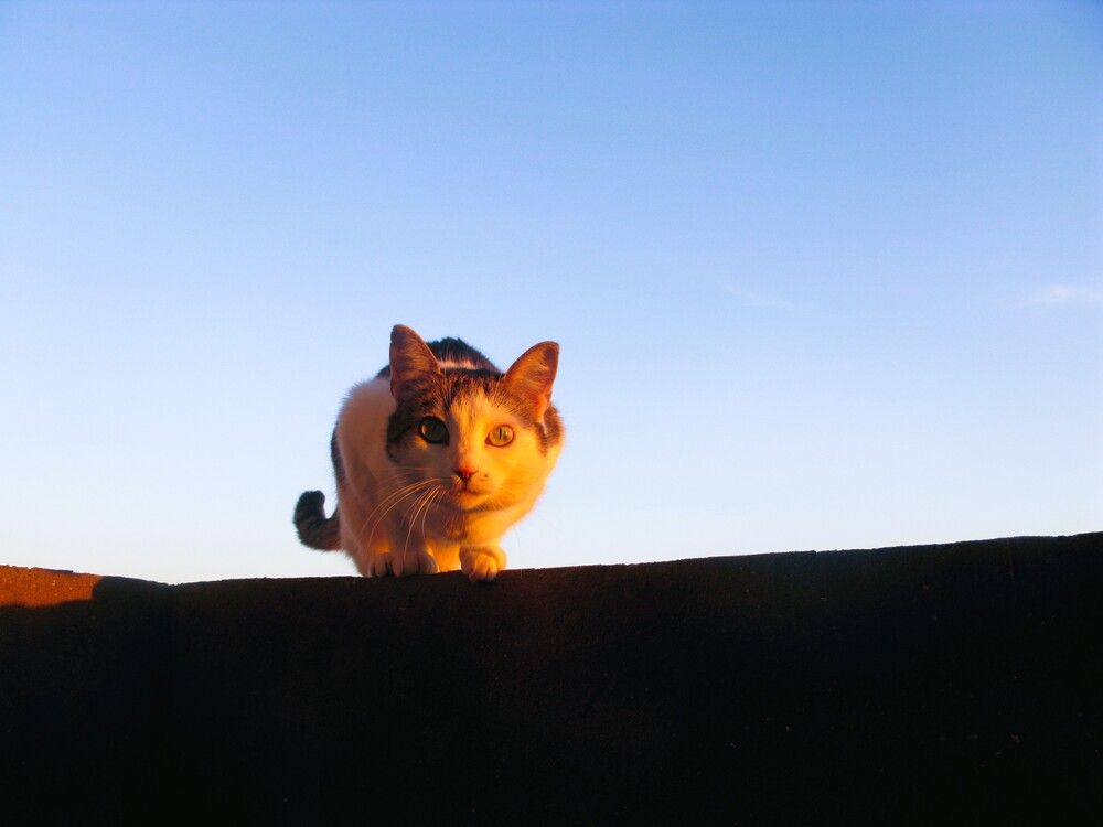 Photograph by Дарья Савелькина