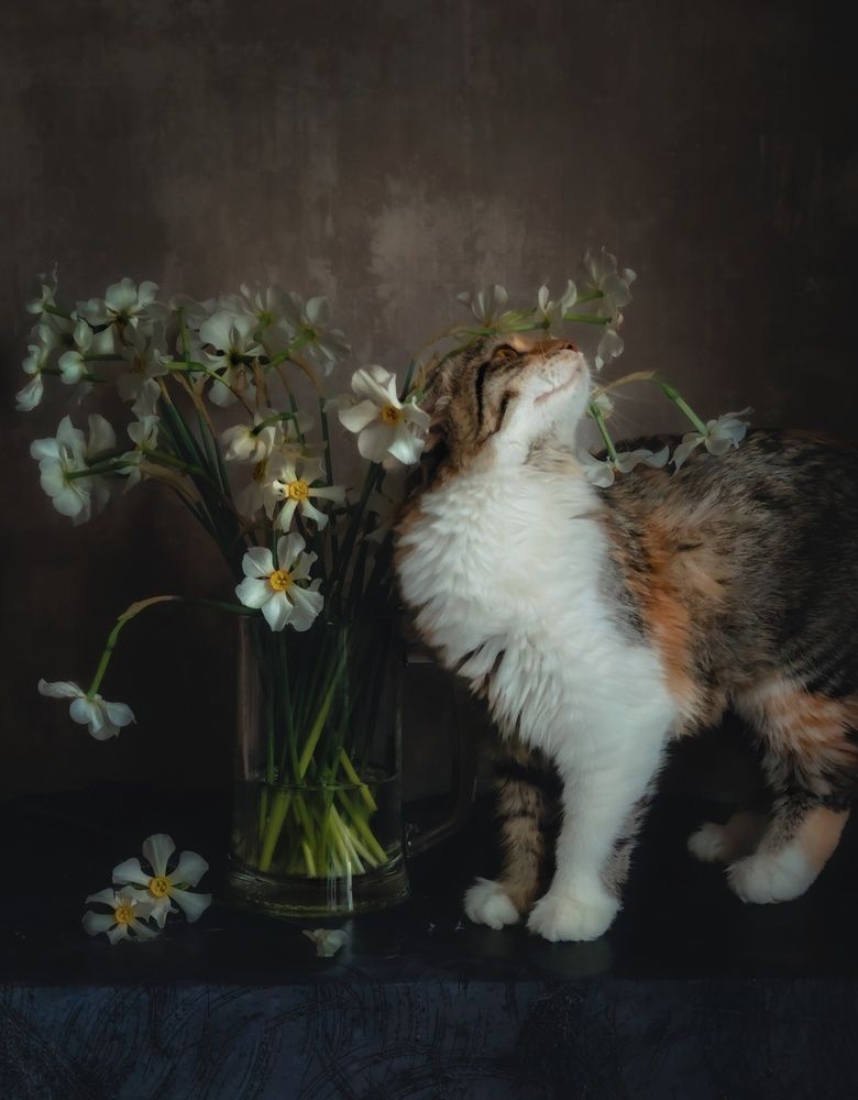 Photograph by Yuliya Karpova