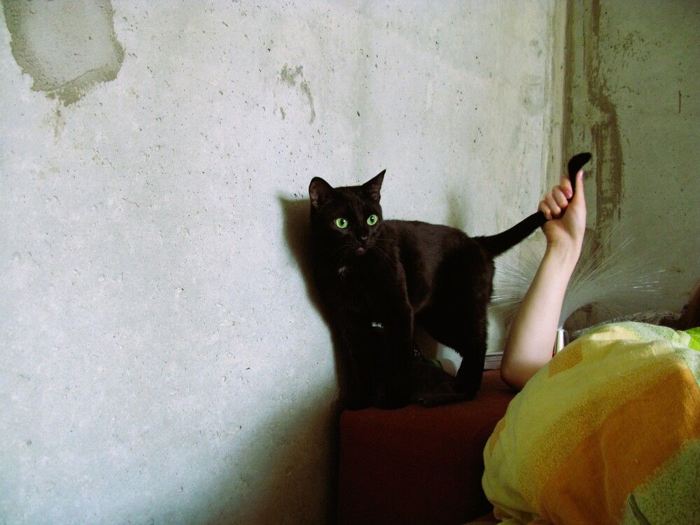 Photograph by Дарья Савелькина