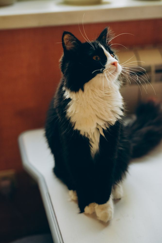 Photograph by Ирина Шестопалова