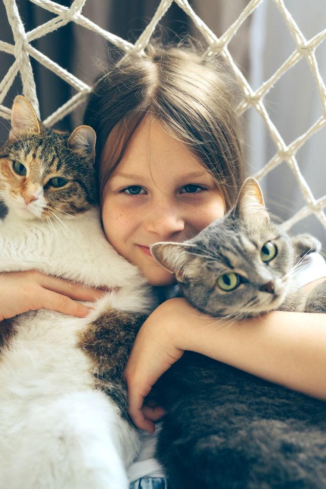 Photograph by Ирина Шестопалова