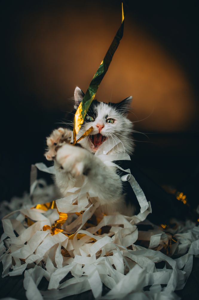 Photograph by Екатерина Киреева