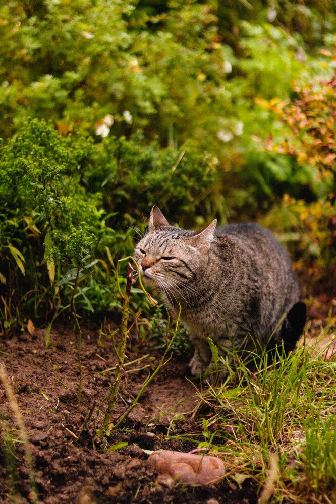 Photograph by Дарья Савелькина
