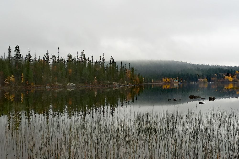 Photograph by OLGA MIKHNEVICH