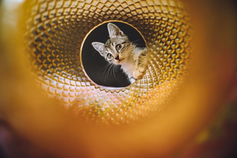 Photograph by Екатерина Киреева