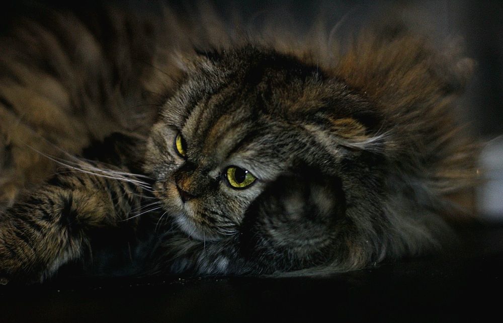 Photograph by Оксана Шарагина