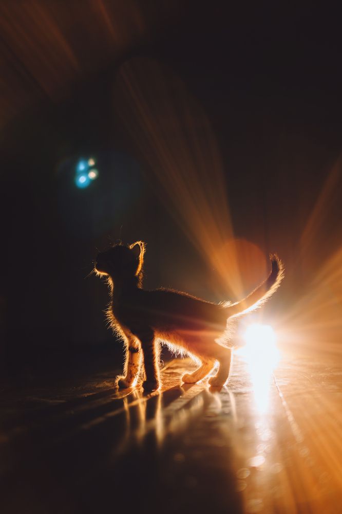 Photograph by Екатерина Киреева