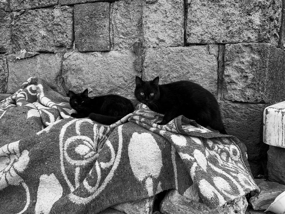 Photograph by Hossam Ahmed