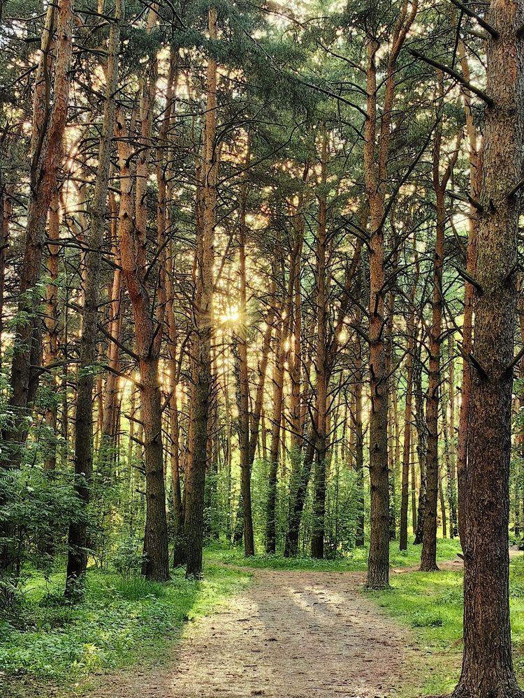 Photograph by Екатерина Исаева