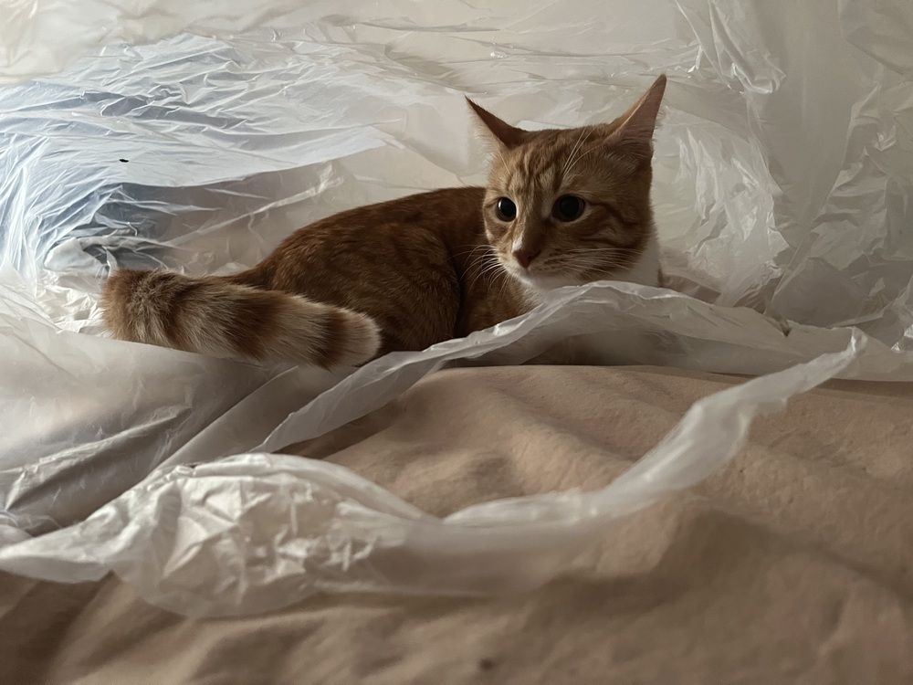 Photograph by Елена Зленко