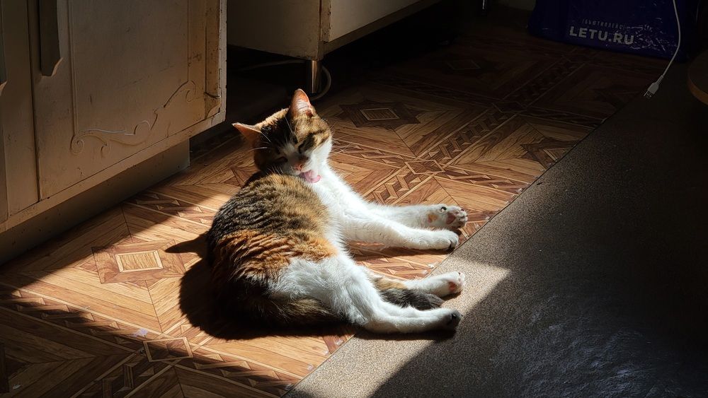 Photograph by Дарья Малиновская