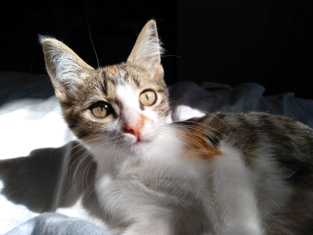 Photograph by Дарья Малиновская