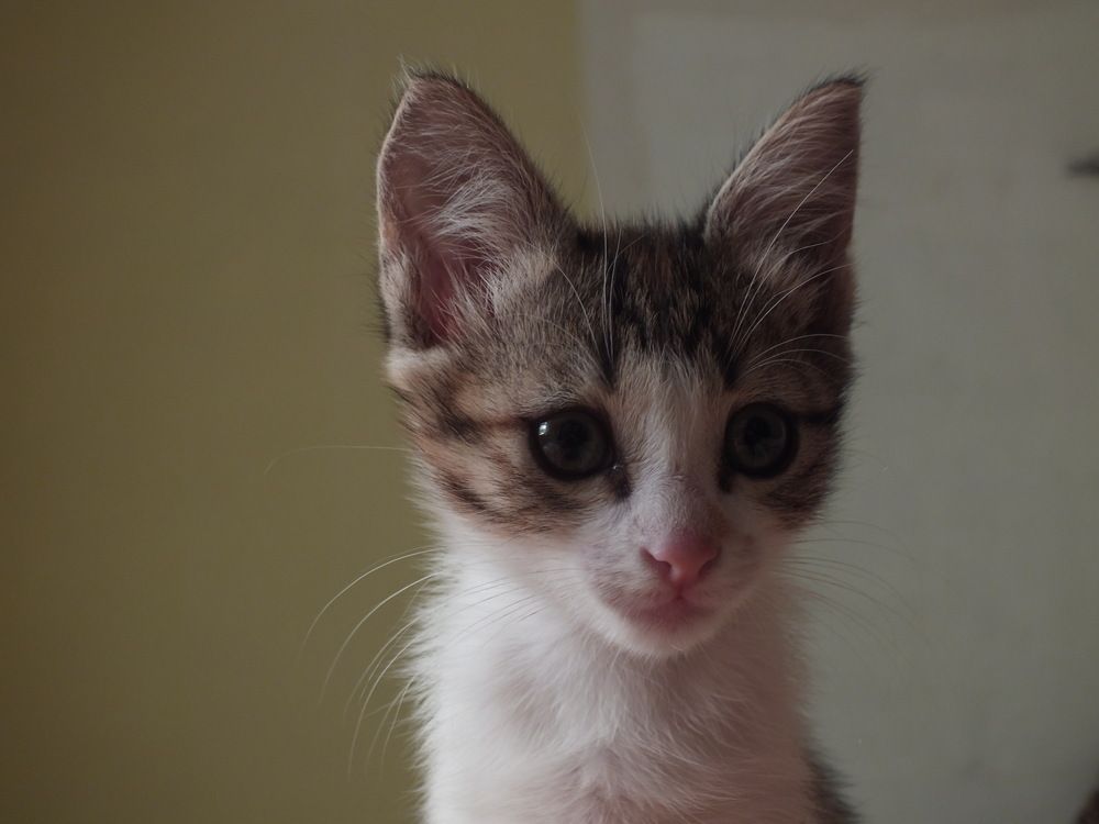 Photograph by Дарья Малиновская