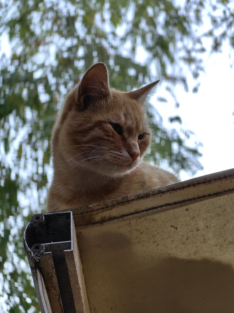 Photograph by Veranika Siratsinina