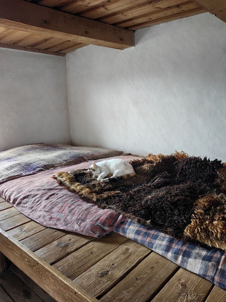 Photograph by Veranika Siratsinina