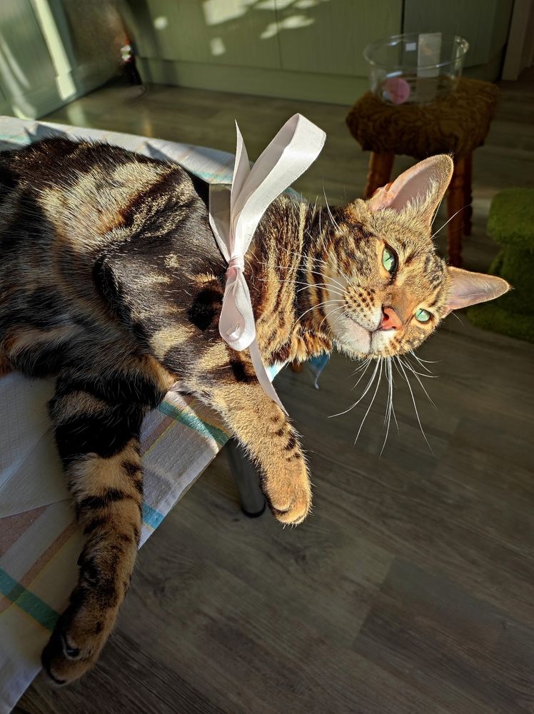 Photograph by Надежда