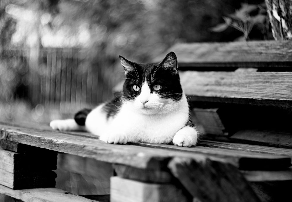 Photograph by Леонид Уральский