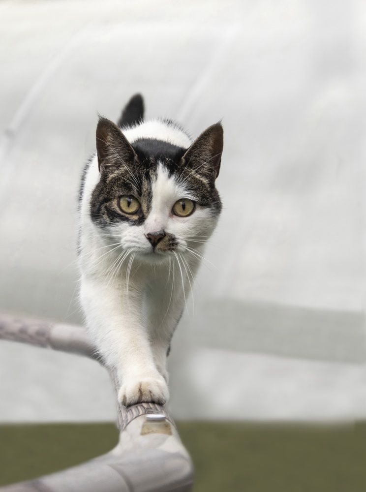 Photograph by Валентина Куренкова