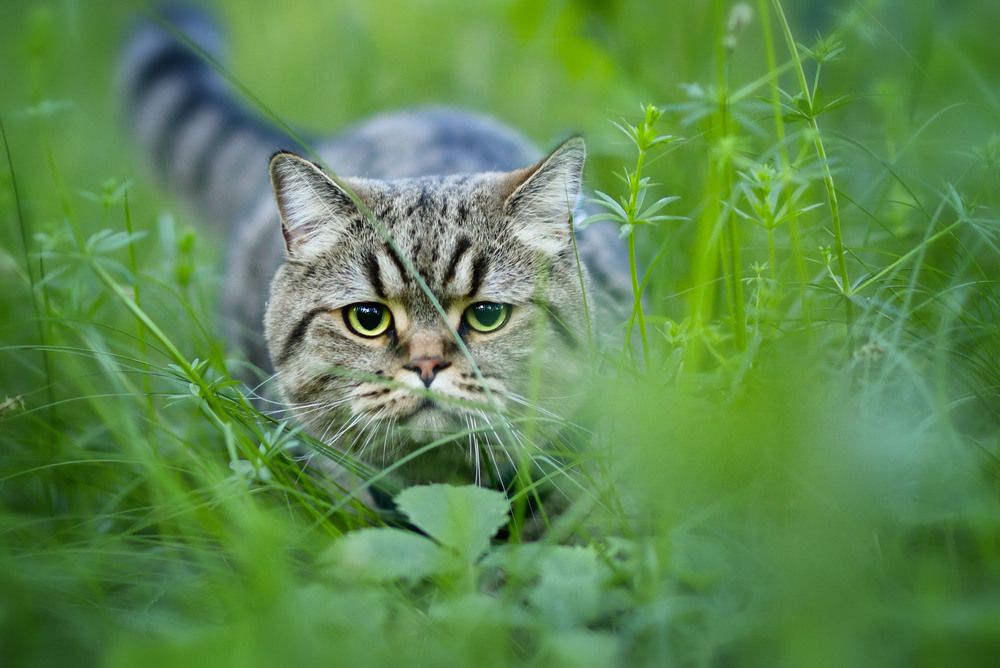 Photograph by Ирина Ефимова