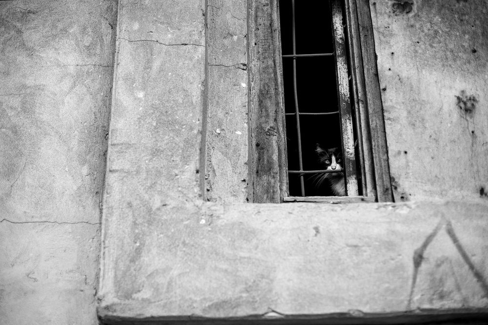 Photograph by Роман Николишин