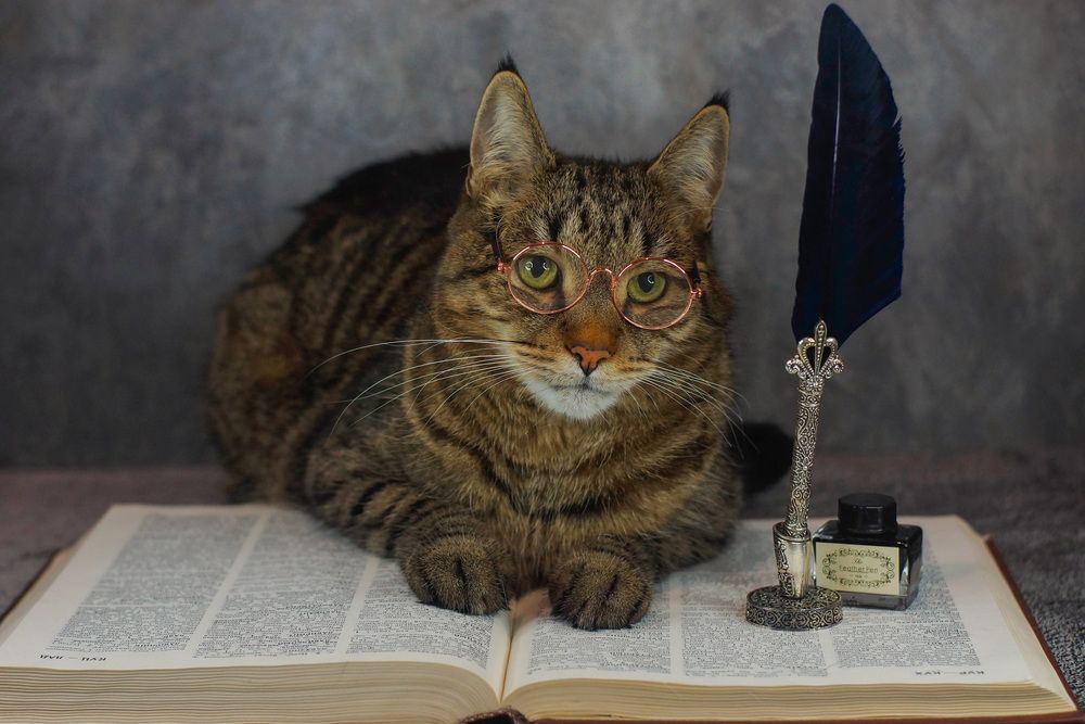 Photograph by Наталья Екимова