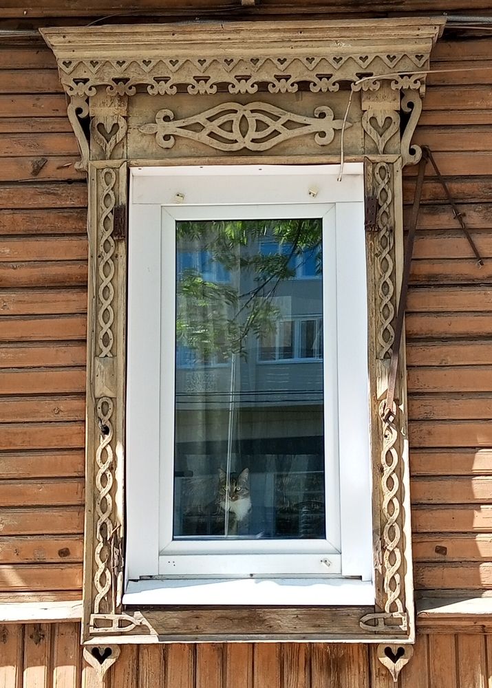 Кошка на окошке