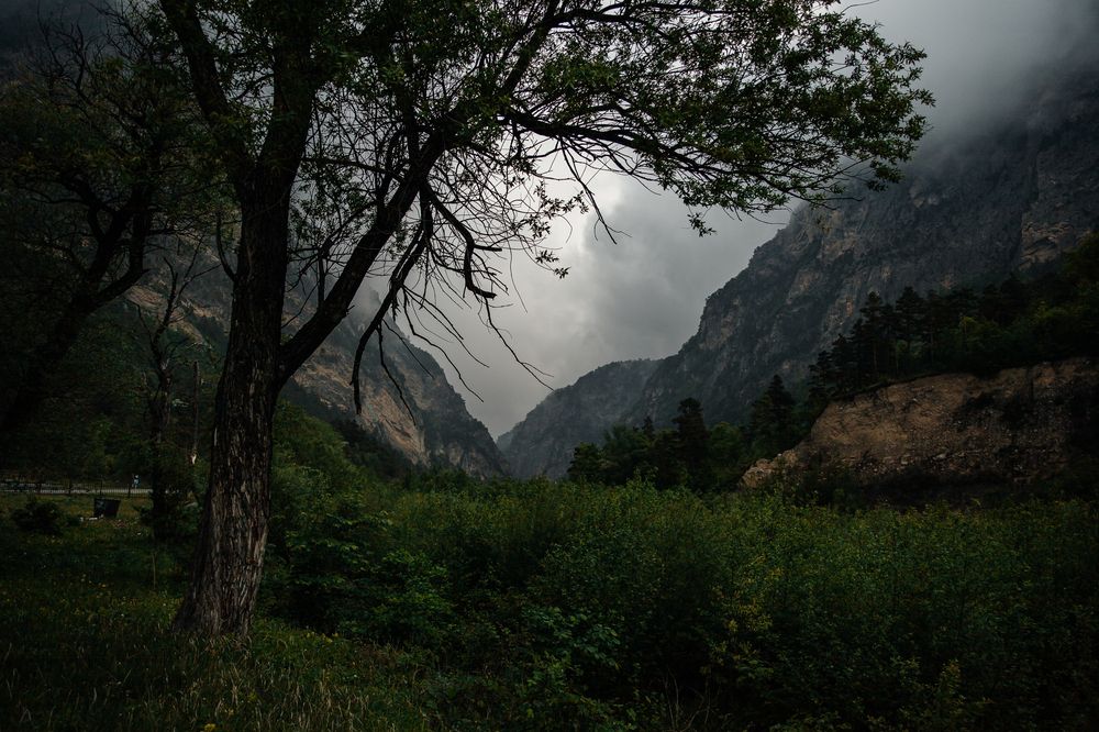 Photograph by Ксения Моисеенко