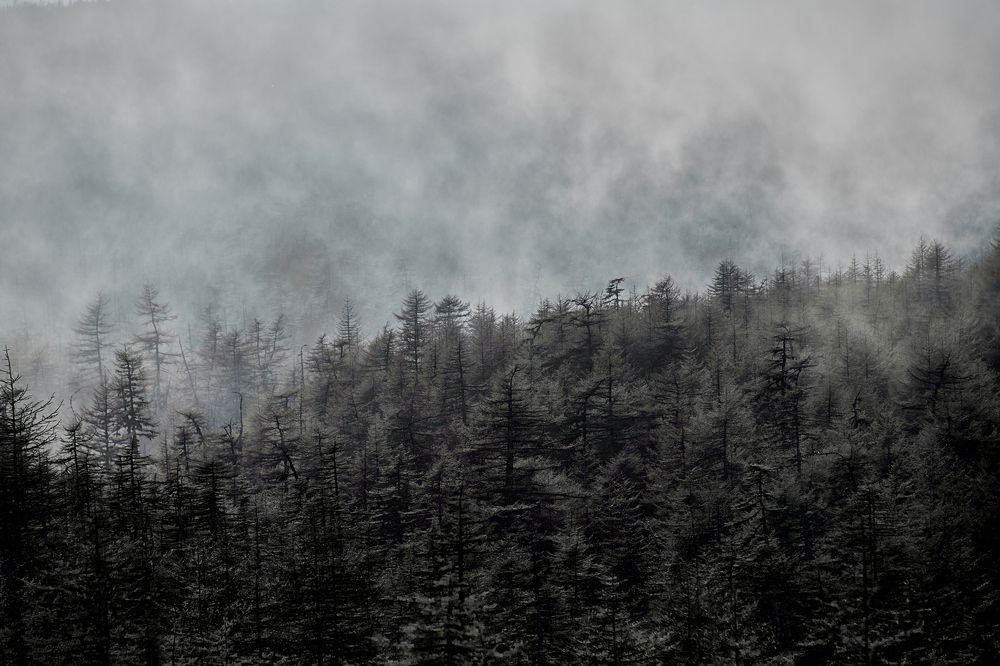 Фотография автора Александр Третьяков