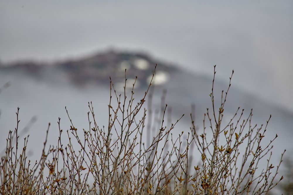 Фотография автора Александр Третьяков