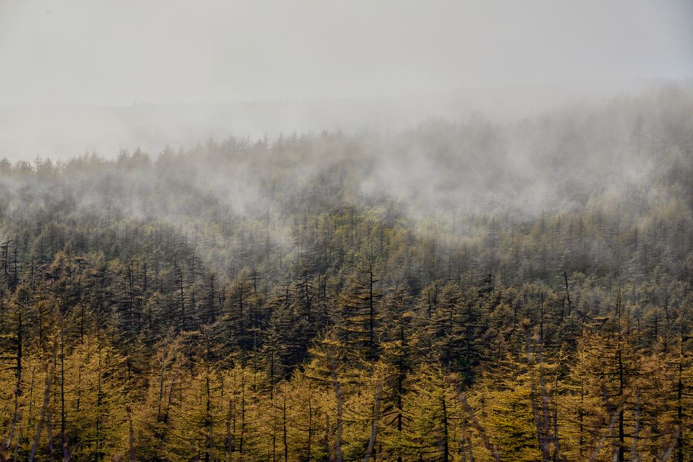 Фотография автора Александр Третьяков